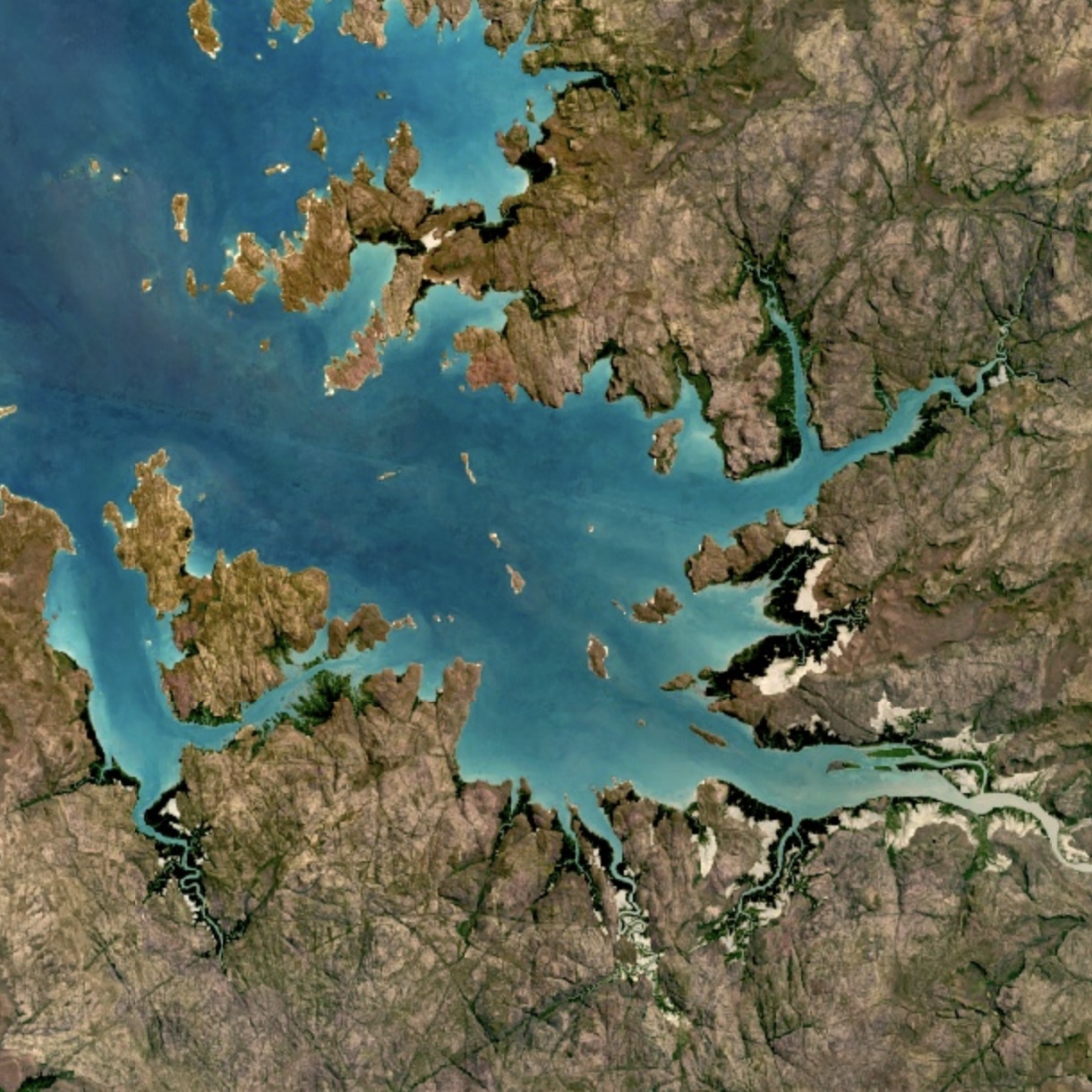 Google Timelapse